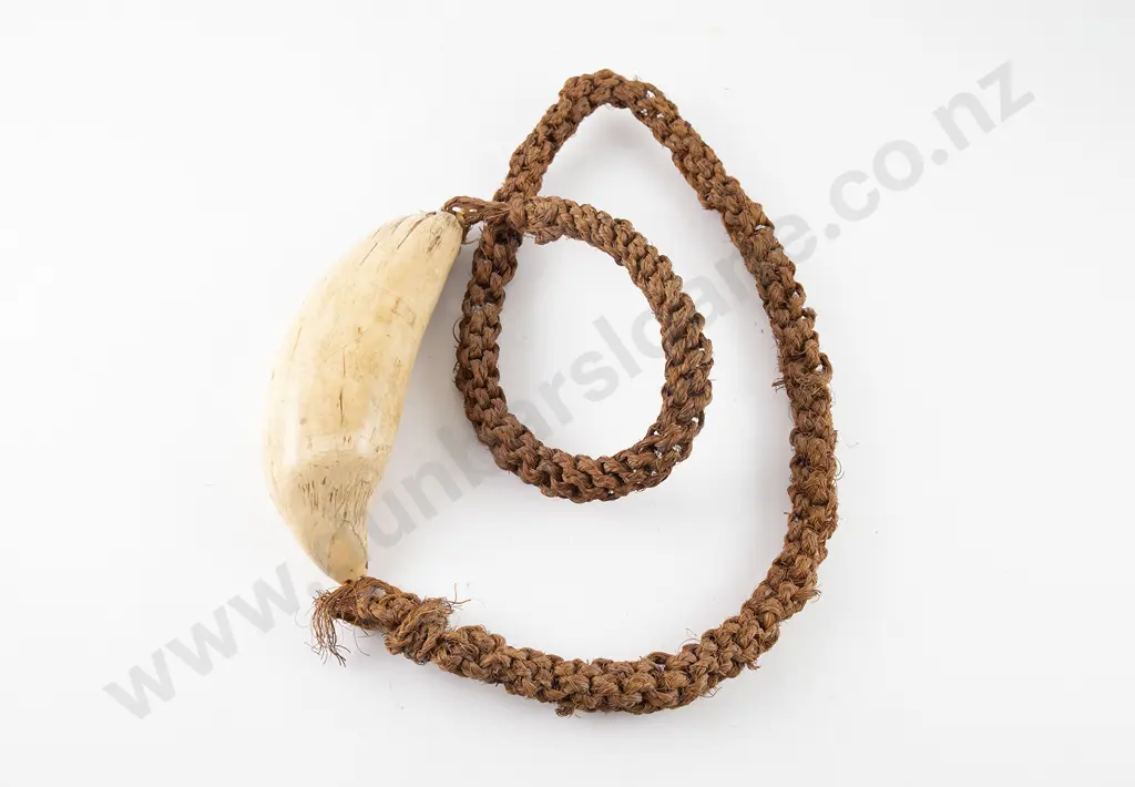 A 19th Century Fijian Sperm Whale Tooth (Tabua) Image 1++