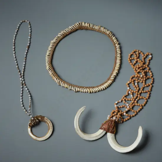 Two Papua New Guinea Boars Tusk Pendants and a Cowrie Shell Necklace