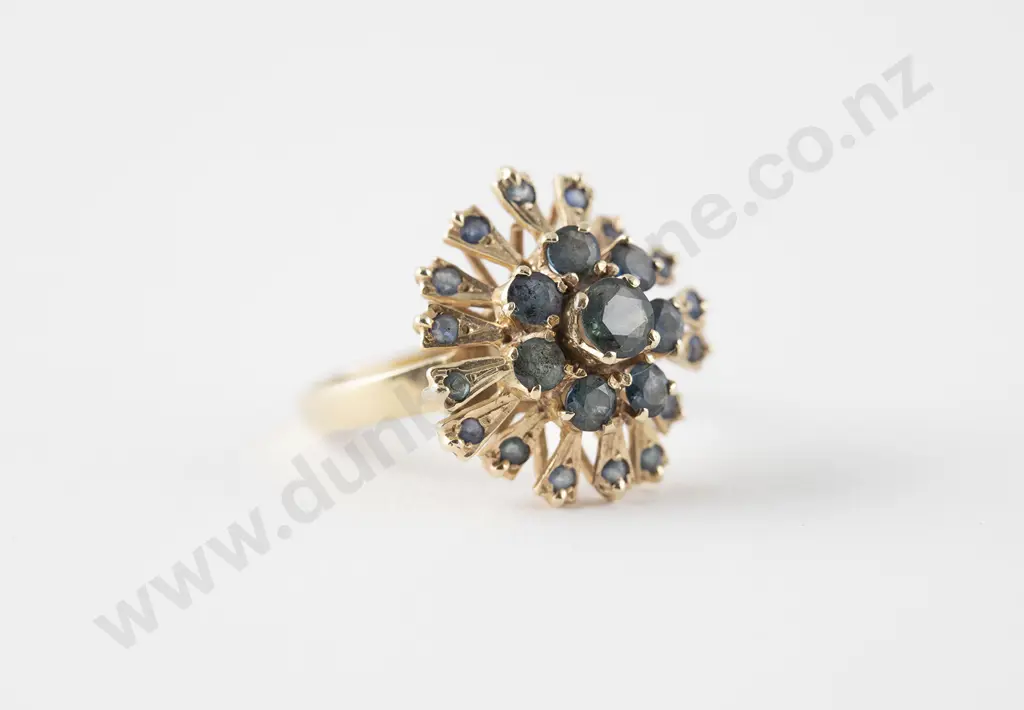 9ct 24stone Sapphire Princess Type Cluster Ring Image 1++
