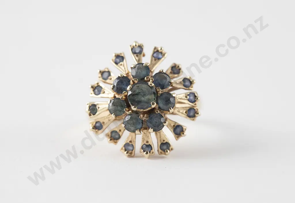 9ct 24stone Sapphire Princess Type Cluster Ring Image 1++