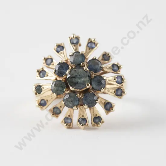 9ct 24stone Sapphire Princess Type Cluster Ring