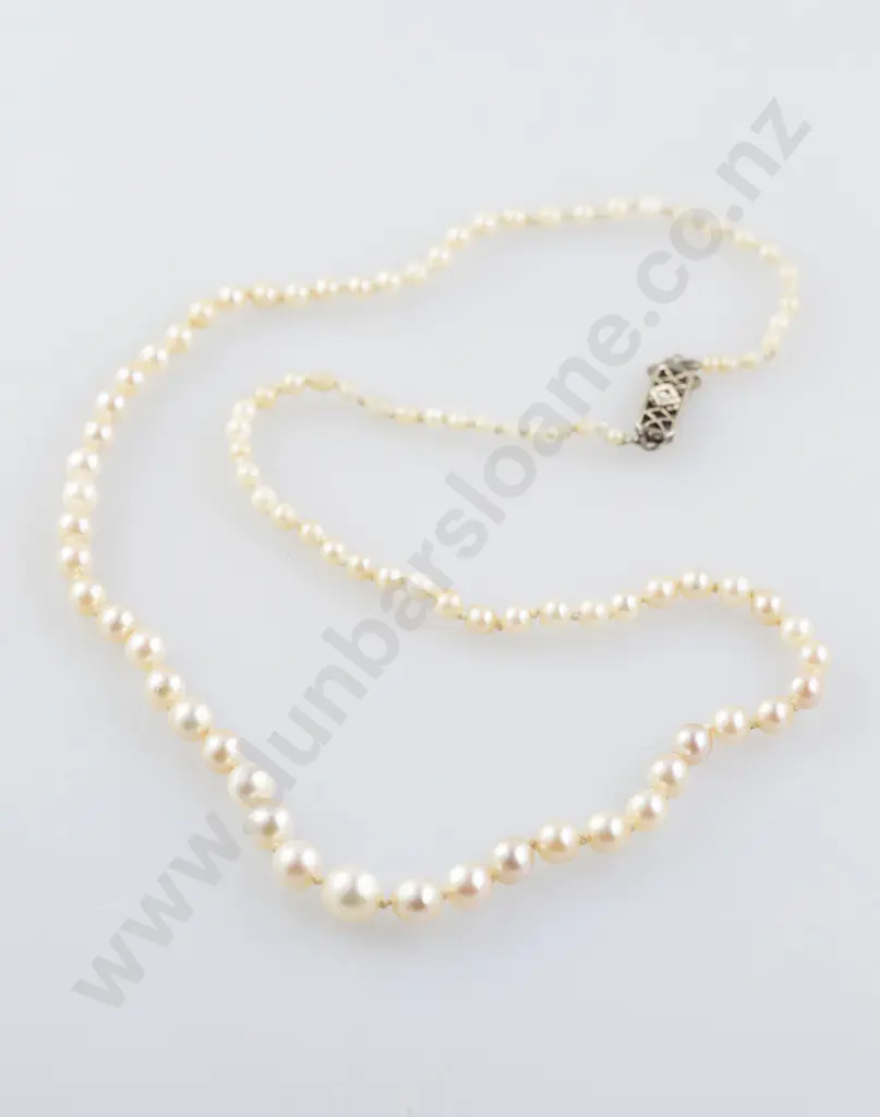 Vintage Single Strand Graduated Cultured Pearl Necklace Image 1++