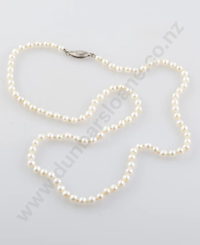 Single Strand Uniform Cultured Pearl Necklace Image 1++