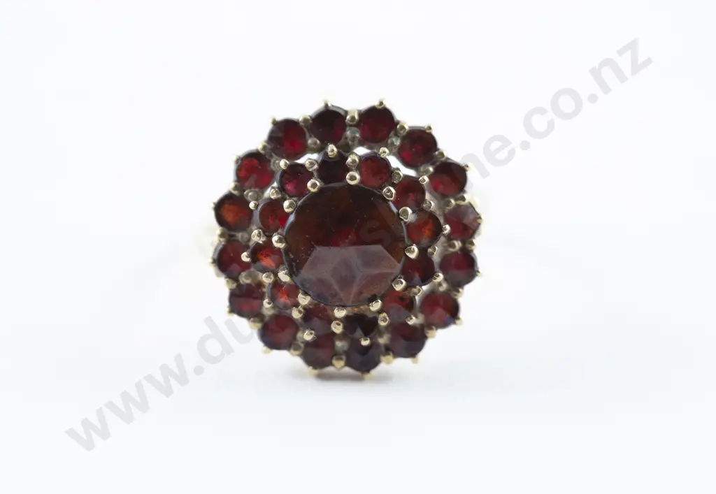 10ct 29stone Garnet Cluster Ring Image 1++