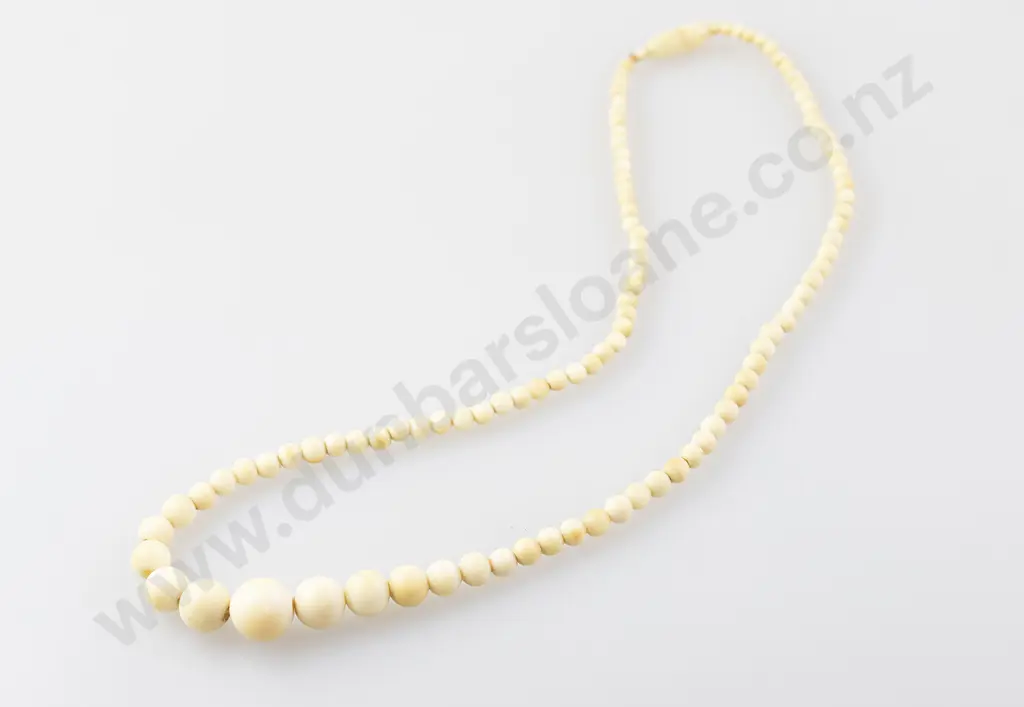 Ivory Bead Necklace Image 1++