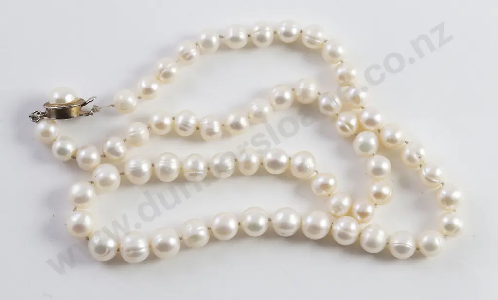 Single Strand Graduated Freshwater Pearl Necklace Image 1++