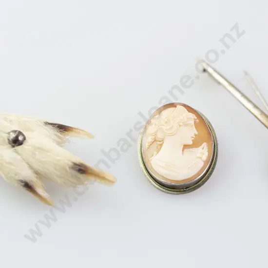 S/S Thistle Brooch