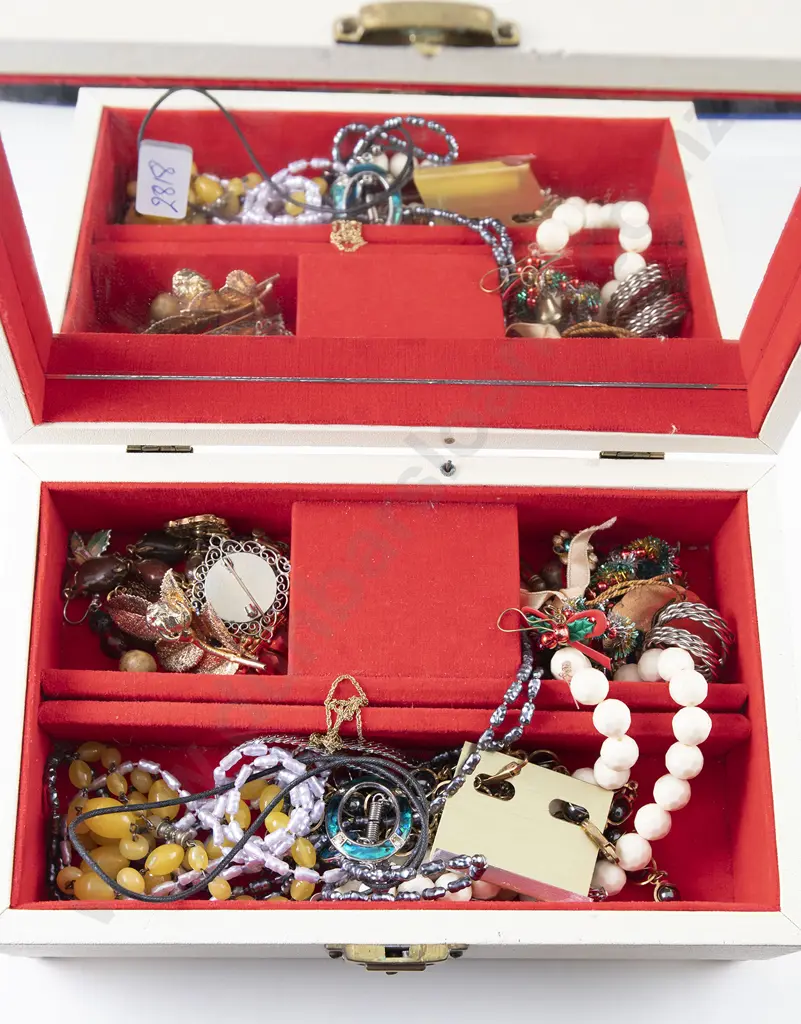 Collection Costume Jewellery Image 1++