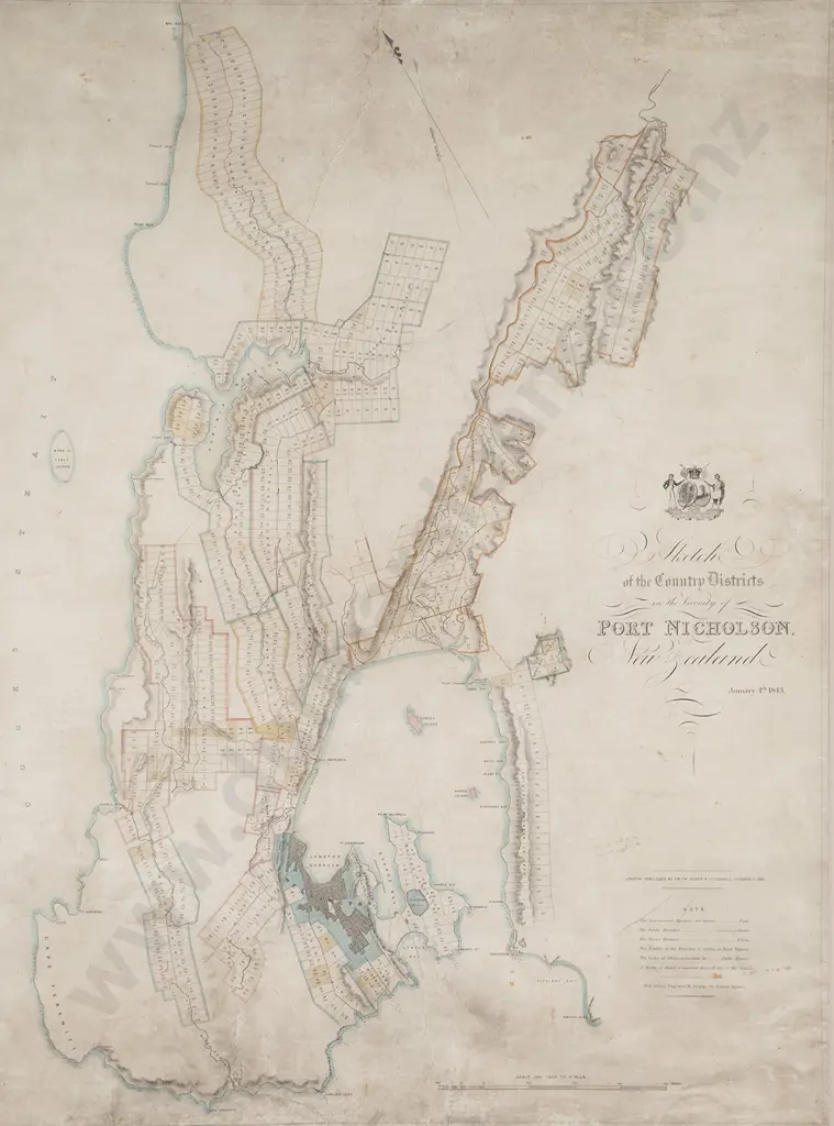 Samuel Charles Brees (Chief Surveyor) Sketch of the Country Districts in the Vicinity of Port Nicholson New Zealand January 4th 1843 (London) Image 1++