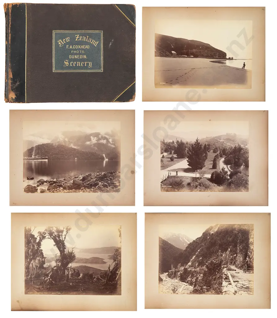 Frank A Coxhead (1851-c1919) - New Zealand Scenery Image 1++