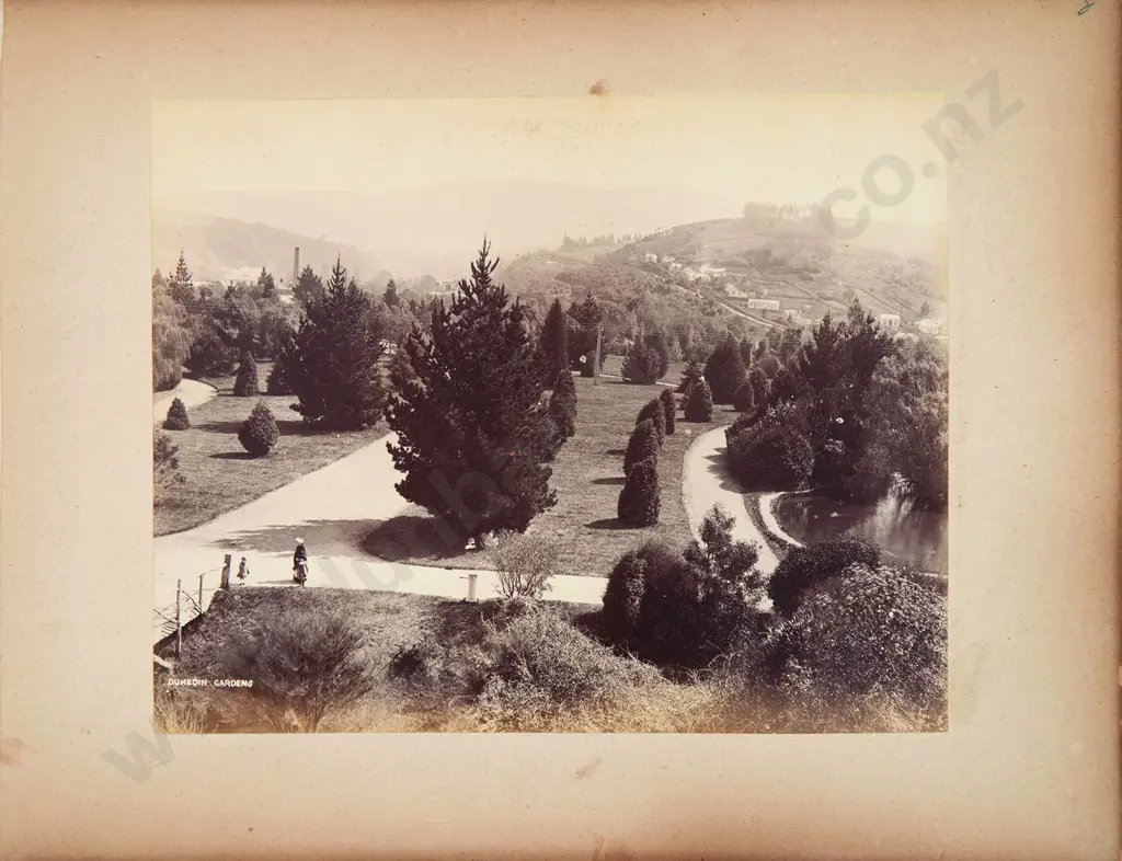 Frank A Coxhead (1851-c1919) - New Zealand Scenery Image 1++
