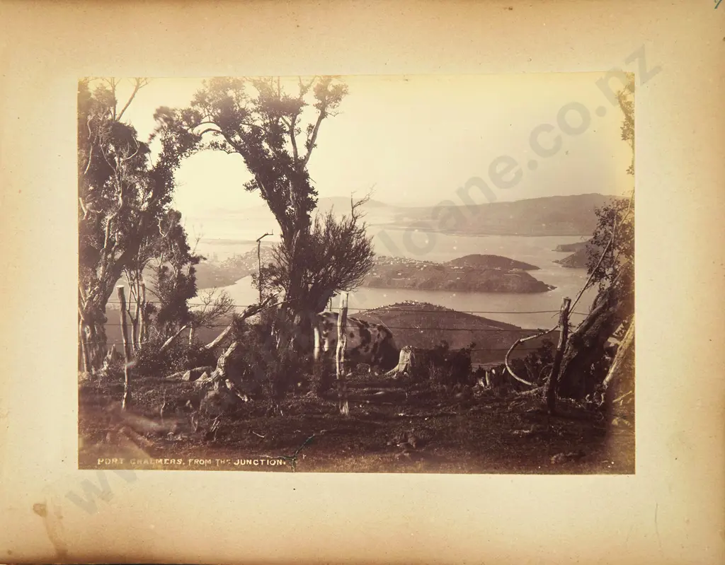 Frank A Coxhead (1851-c1919) - New Zealand Scenery Image 1++