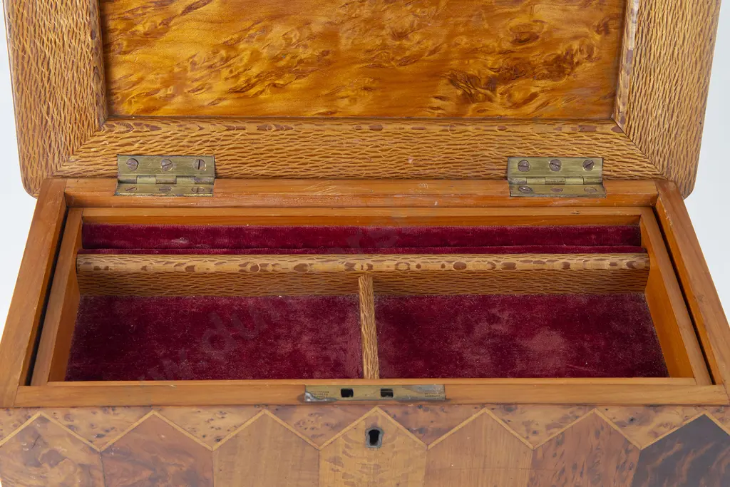 Late C19th NZ Colonial Specimen Wood Box By William Norrie Image 1++