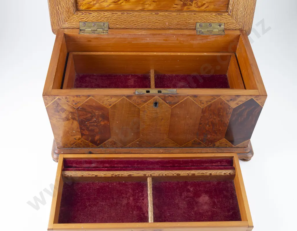 Late C19th NZ Colonial Specimen Wood Box By William Norrie Image 1++