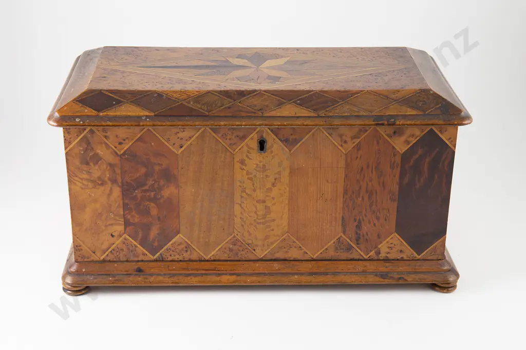 Late C19th NZ Colonial Specimen Wood Box By William Norrie Image 1++