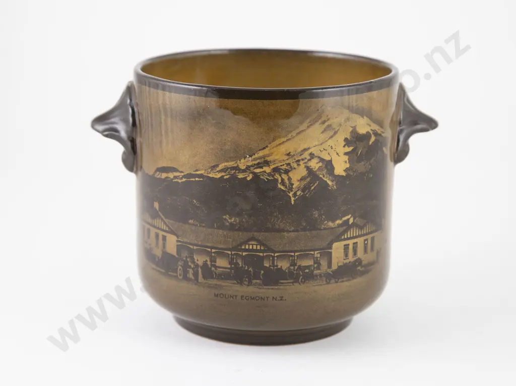 Ridgways Royal Vista Ware (NZ) Two Handled Pot Image 1++