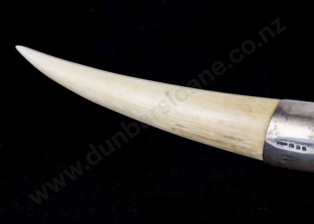 An Exceptionally Rare Geo V S/S Sabre Tooth Cigar Lighter By Asprey London Image 1++