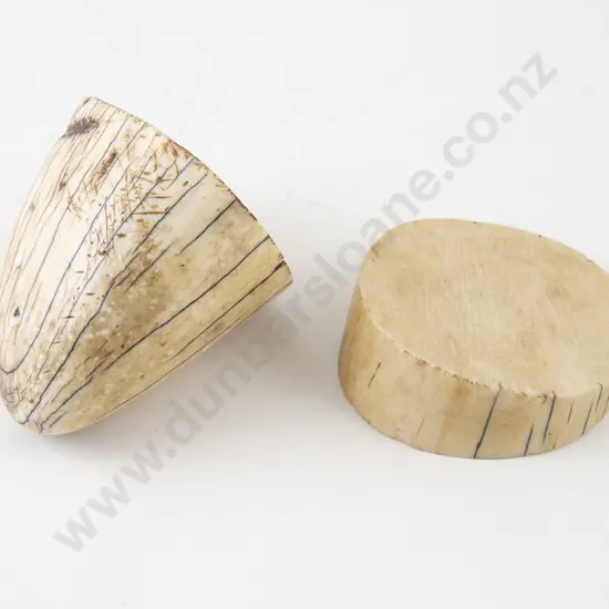 Mammoth Tooth Tip & Disc