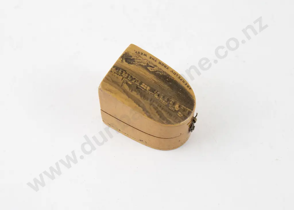 Mauchline Ware Thimble Case Image 1++