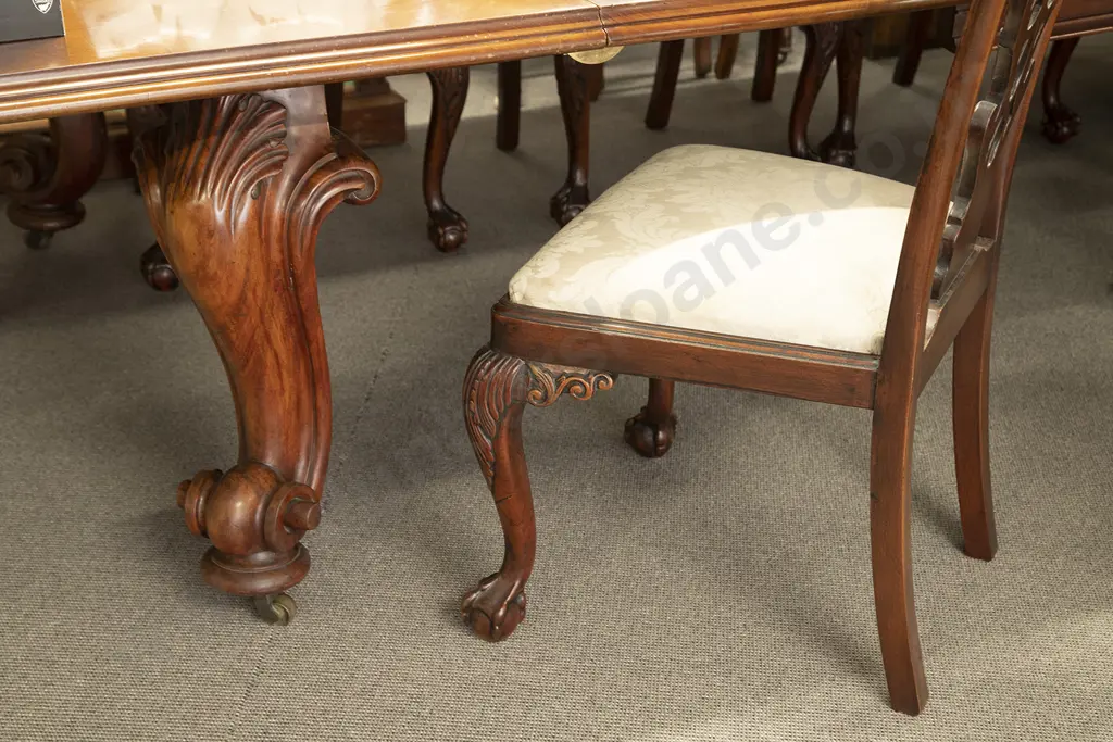 A Superb Victorian Mahogany Extension Dining Table Leaf Holder and Twelve Chippendale Style Chairs Image 1++