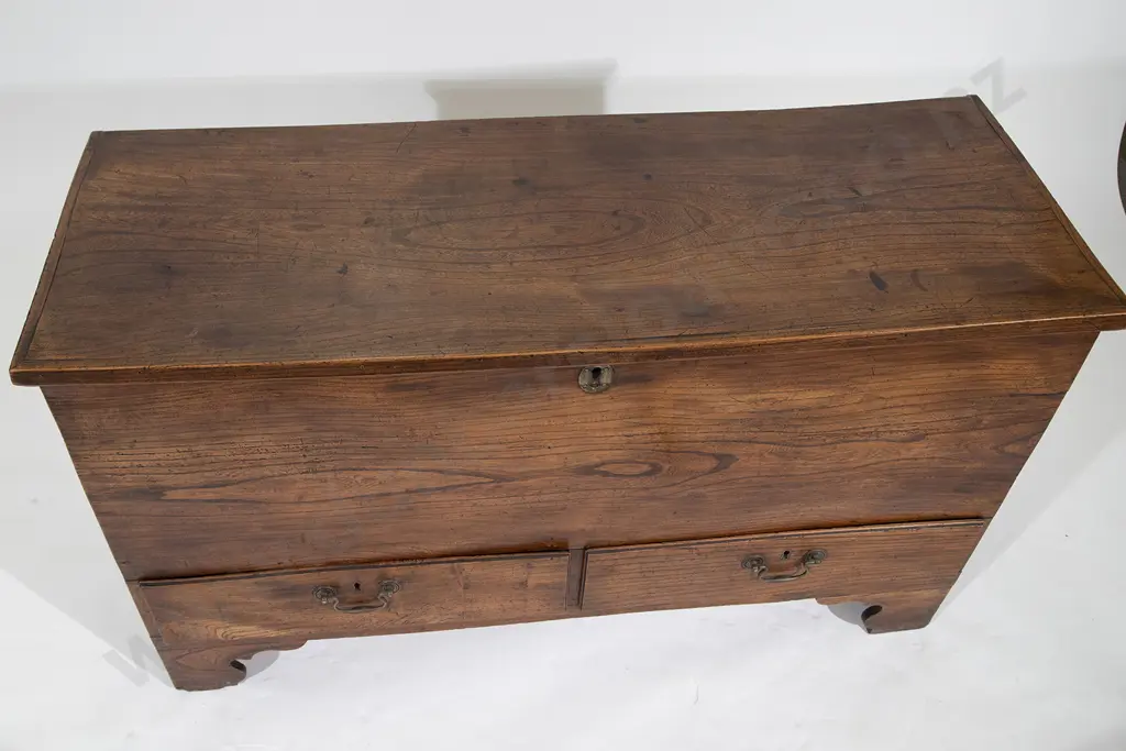 GeoIII Elm Mule Chest Image 1++