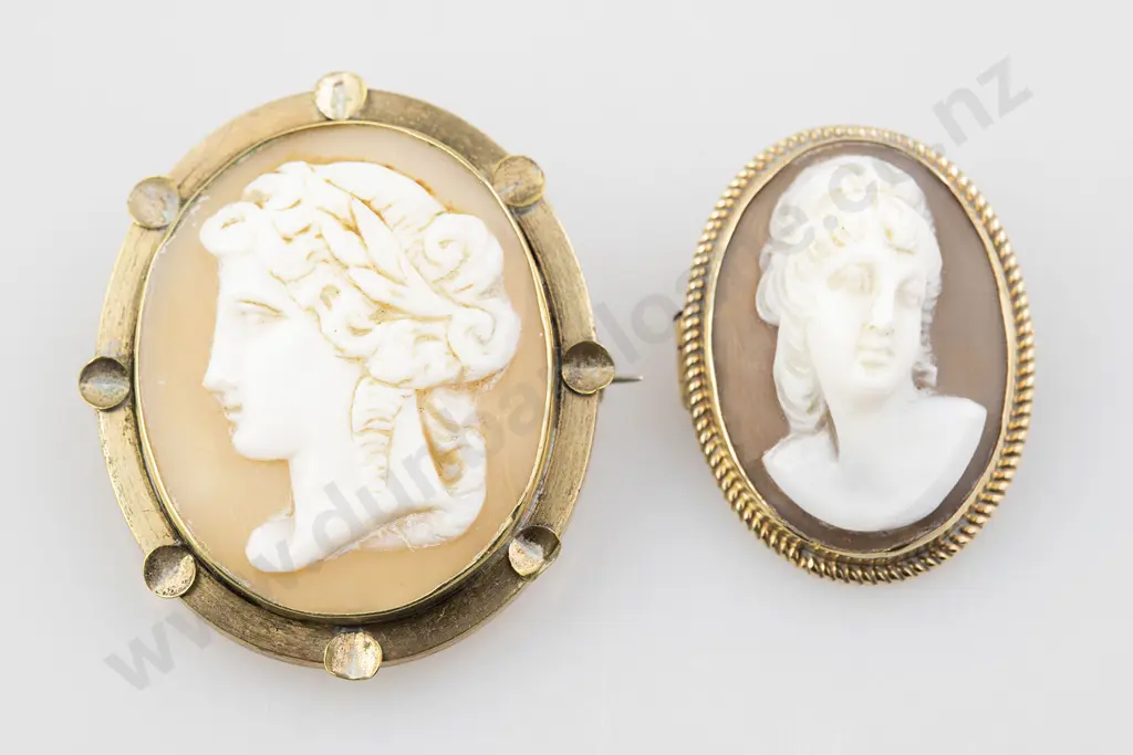 Gold & Plated Cameo Brooches Image 1++