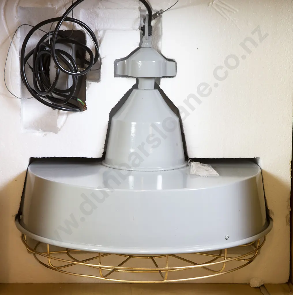 New Industrial Type Ceiling Light Image 1++