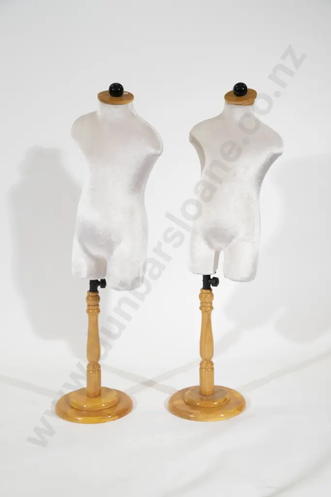 Two Modern Child Shop Display Torso's Image 1++