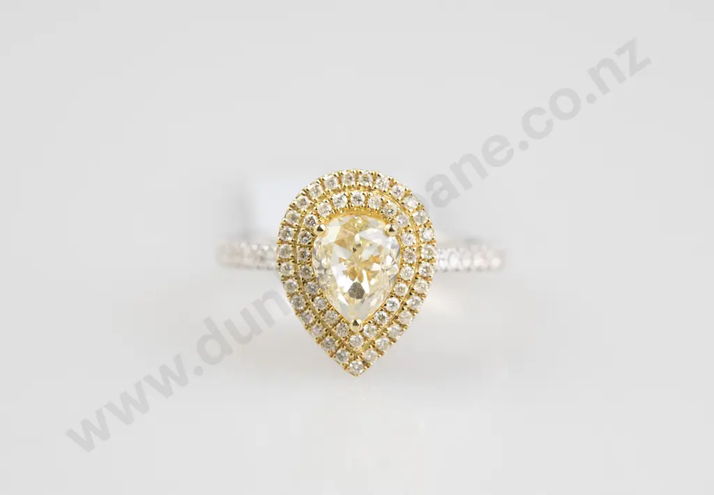 18ct Yellow & White Gold 120stone Fancy Diamond Cluster Ring Image 1++