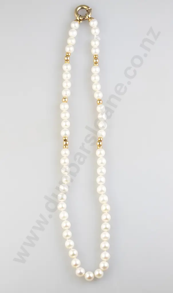 Single Strand Cultured Pearl Necklace Image 1++