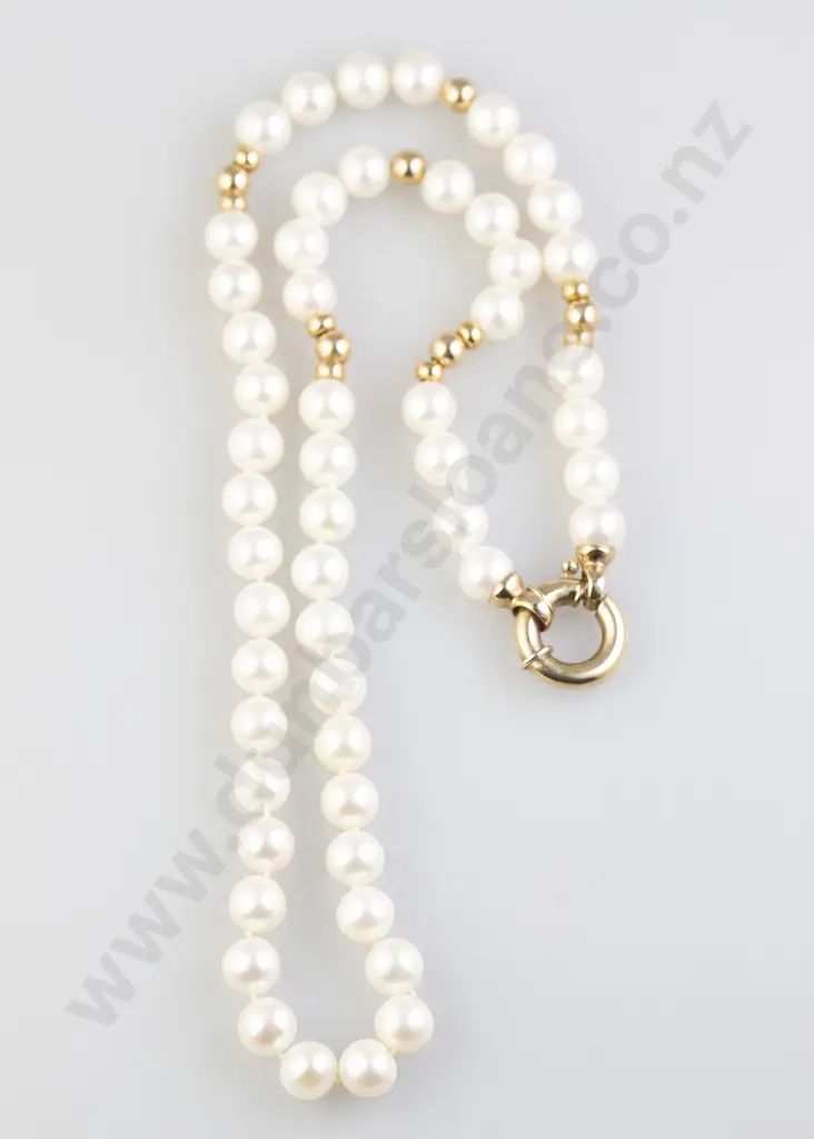 Single Strand Cultured Pearl Necklace Image 1++