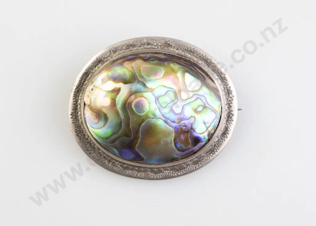 NZ S/S and Paua Brooch Image 1++