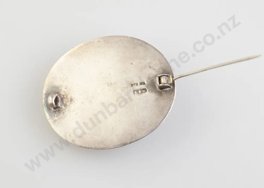 NZ S/S and Paua Brooch Image 1++