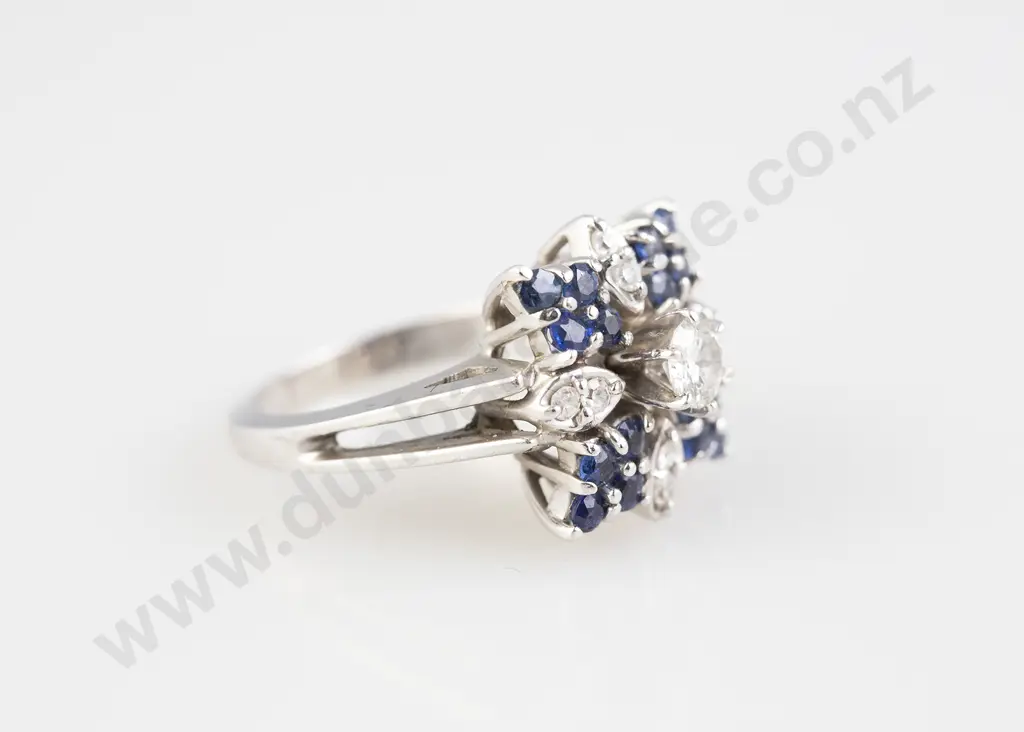 14ct White Gold 25stone Sapphire and Diamond Cluster Ring Image 1++