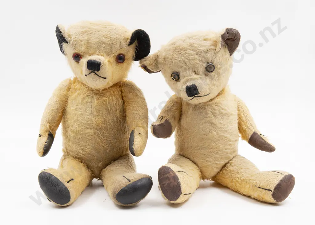 Two Probable NZ Pedigree Teddy Bears Image 1++