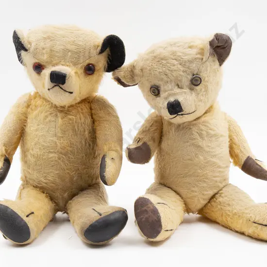 Two Probable NZ Pedigree Teddy Bears