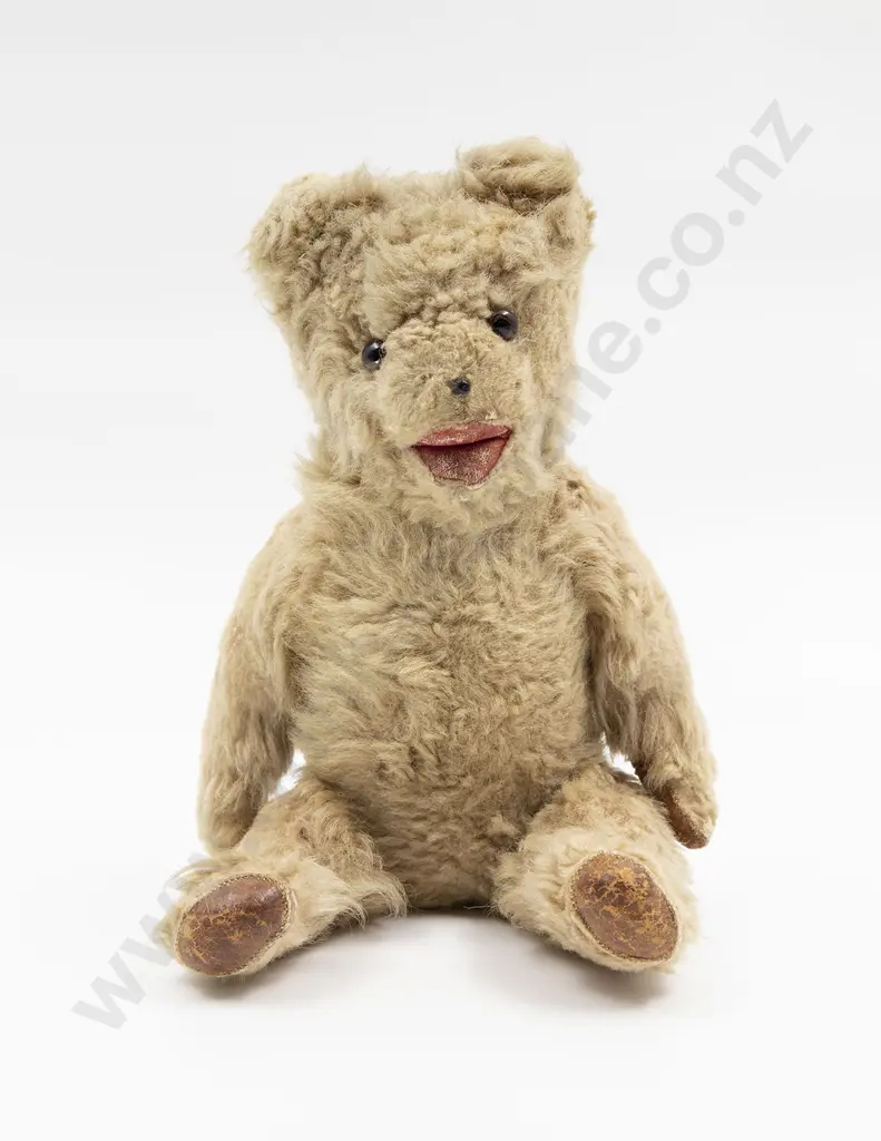 Possible Hermann Zotty Teddy Bear Image 1++
