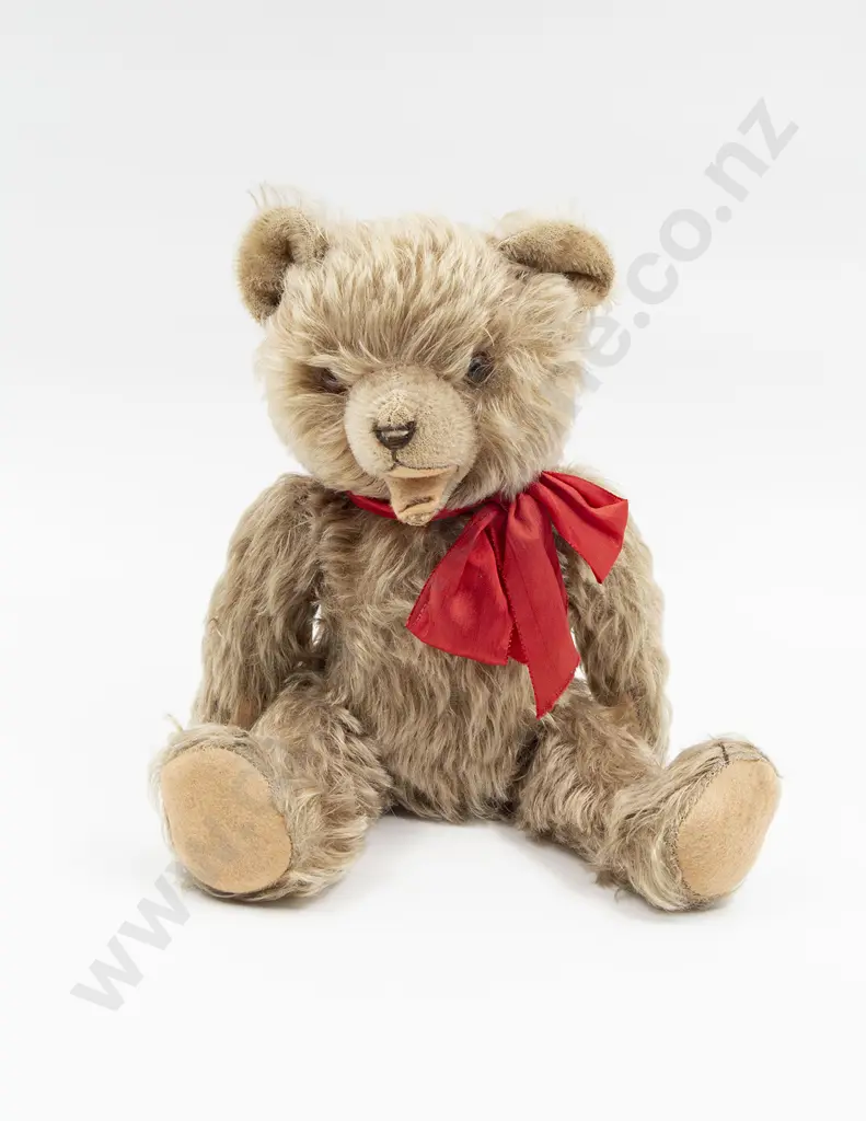 Possible Hermann Zotty Teddy Bear Image 1++