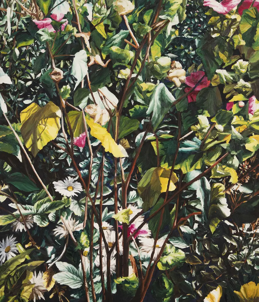 Karl Maughan (b 1964) - White Daisies Image 1++