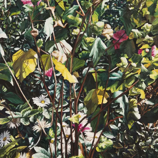 Karl Maughan (b 1964) - White Daisies