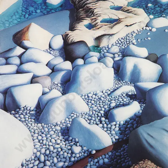 Michael Smither - 2 Rock Pools