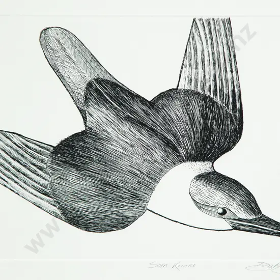 Don Binney (1940-2012) - Sofa Kotare