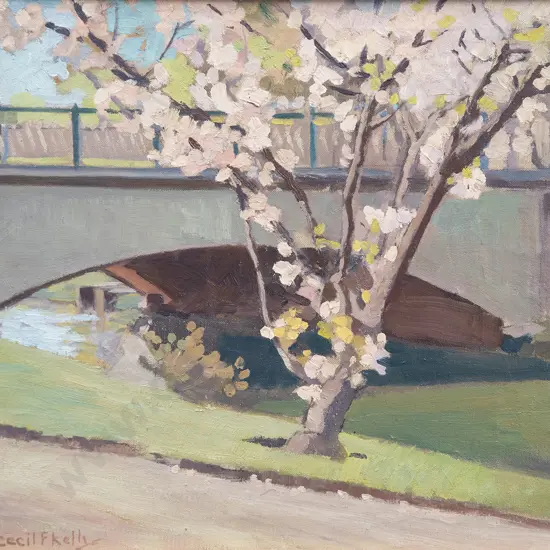 Cecil F Kelly (1879-1954) - Cherry Blossom