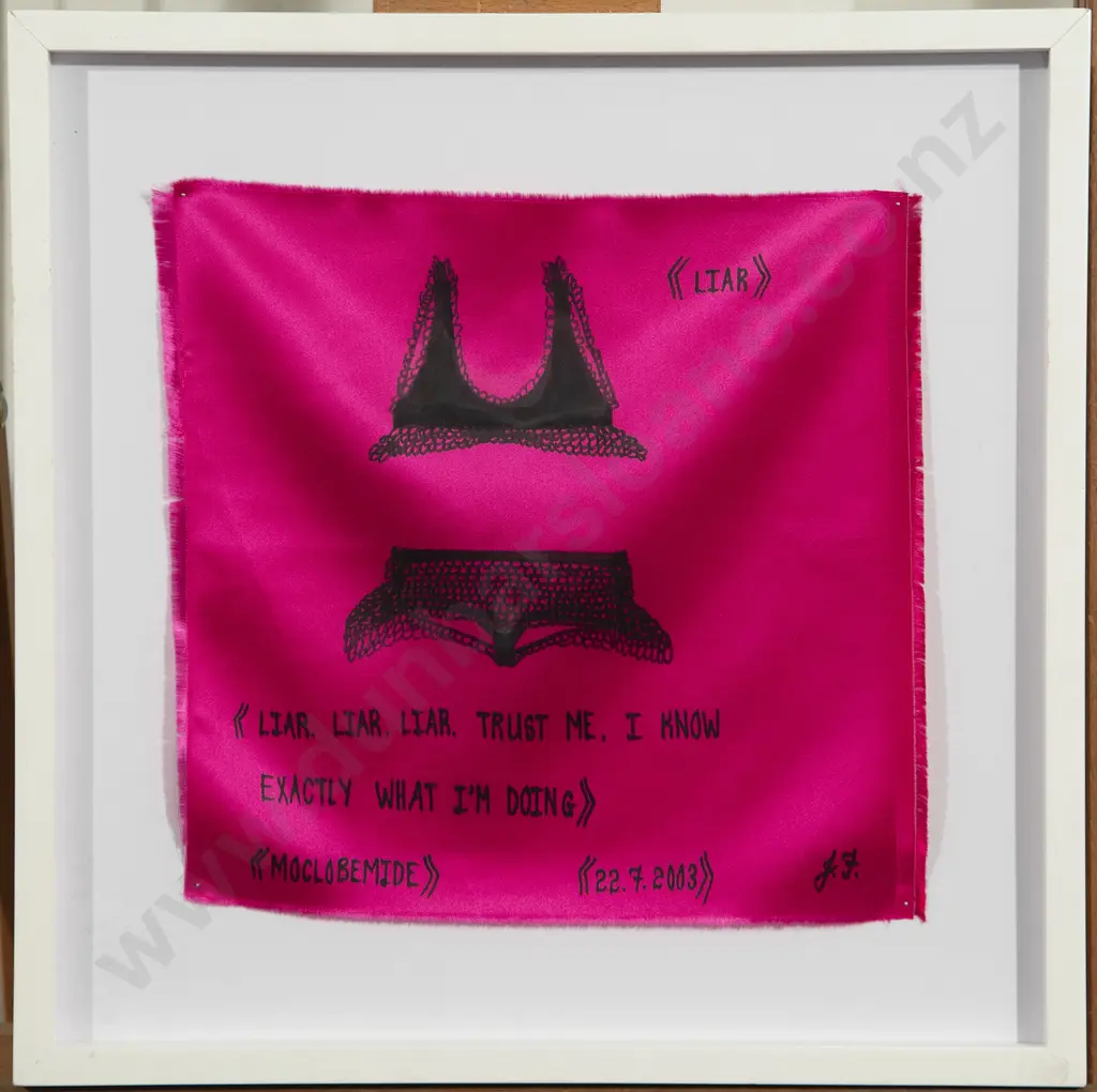 Jacqueline Fraser (b 1956) - Liar Liar Liar Trust Me I Know Exactly What I'm Doing. Maclobemide & Methadone (2) Image 1++