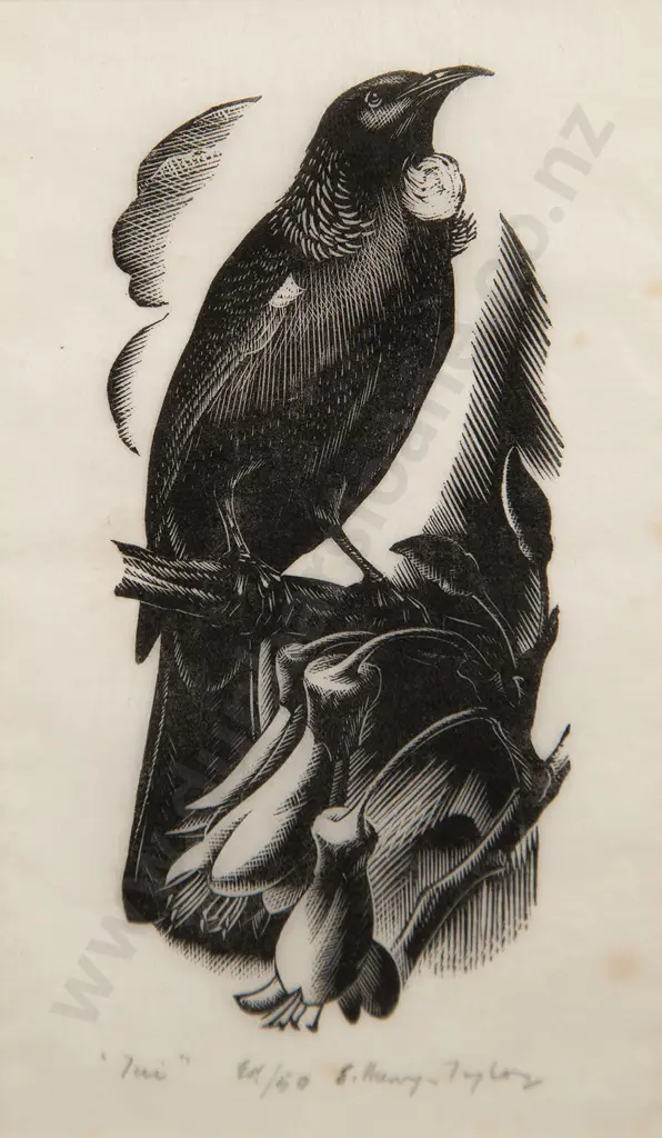E Mervyn Taylor (1906-64) - Tui Image 1++