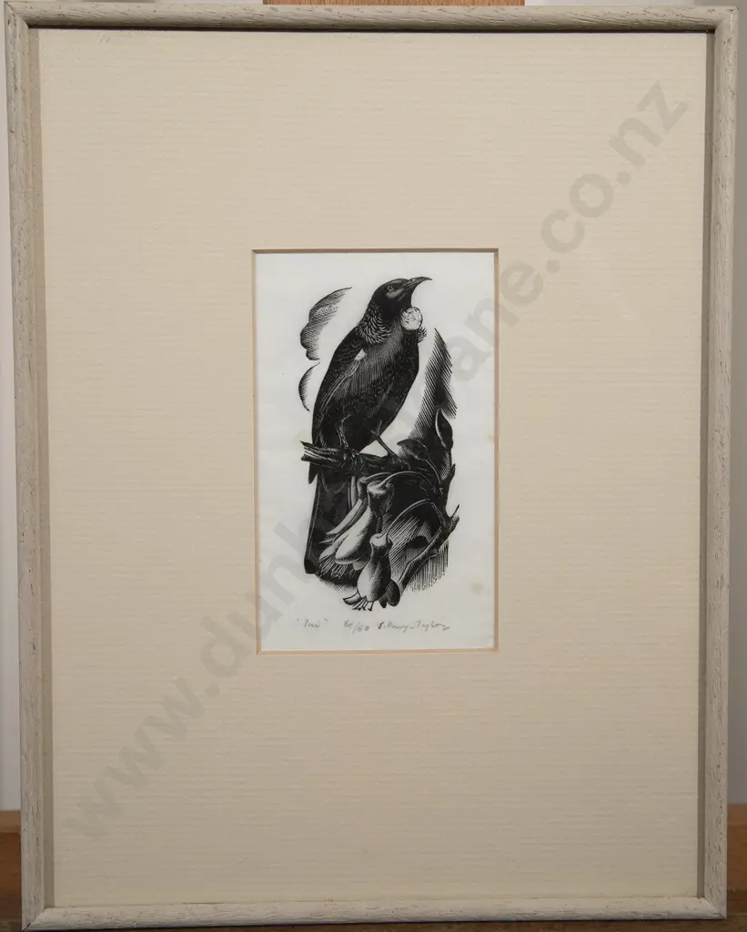 E Mervyn Taylor (1906-64) - Tui Image 1++