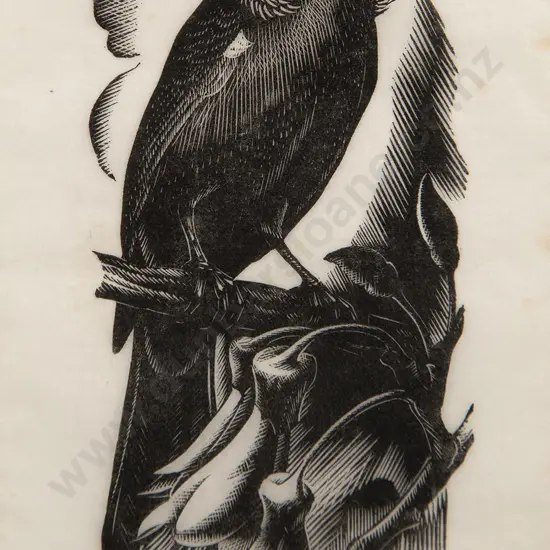 E Mervyn Taylor (1906-64) - Tui