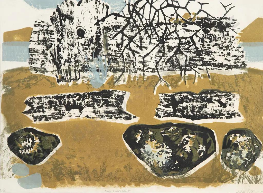 Juliet Peter - Environment Image 1++