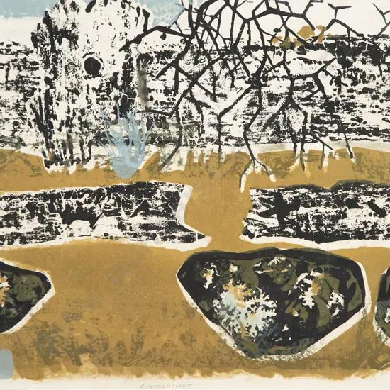 Juliet Peter - Environment