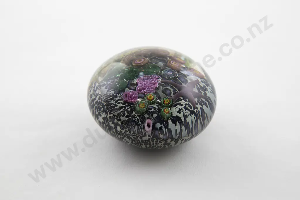 Peter Raos Art Glass Pacific Domed Paper Weight Image 1++